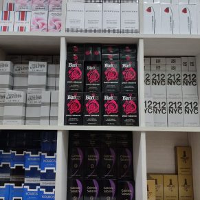 Kit Com/10 Perfumes Importados Atacado 100 ML